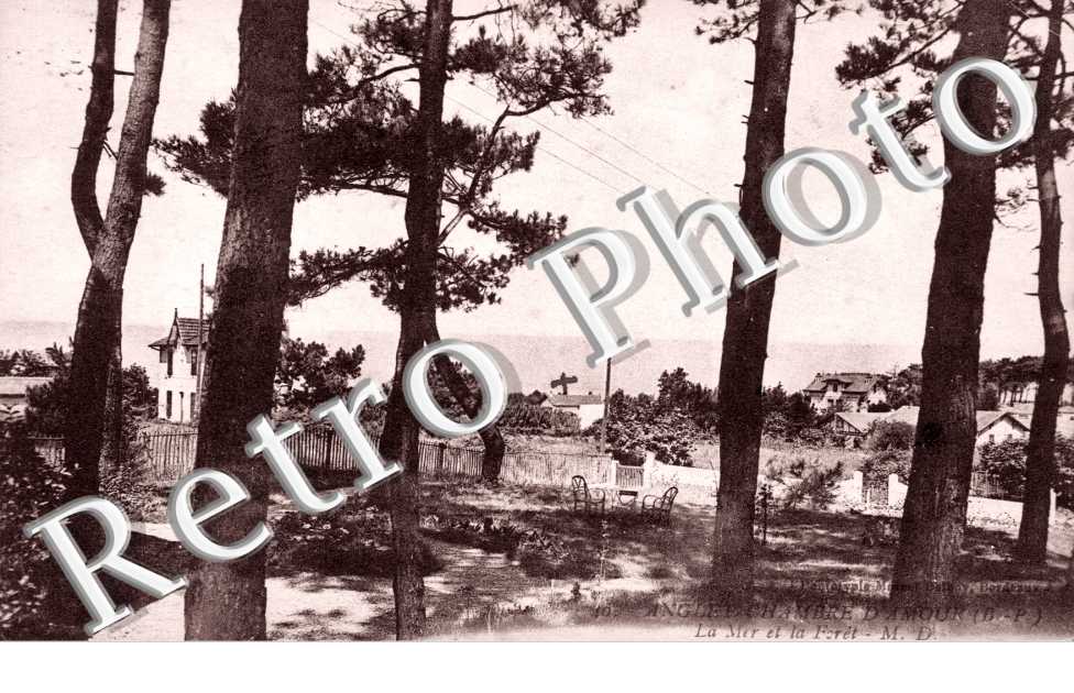 La mer et la foret