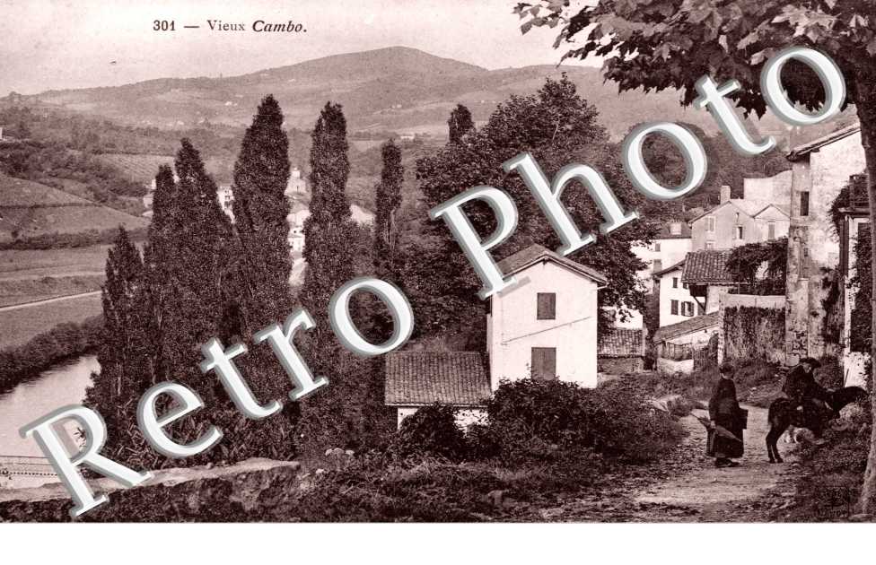 Vieux Cambo