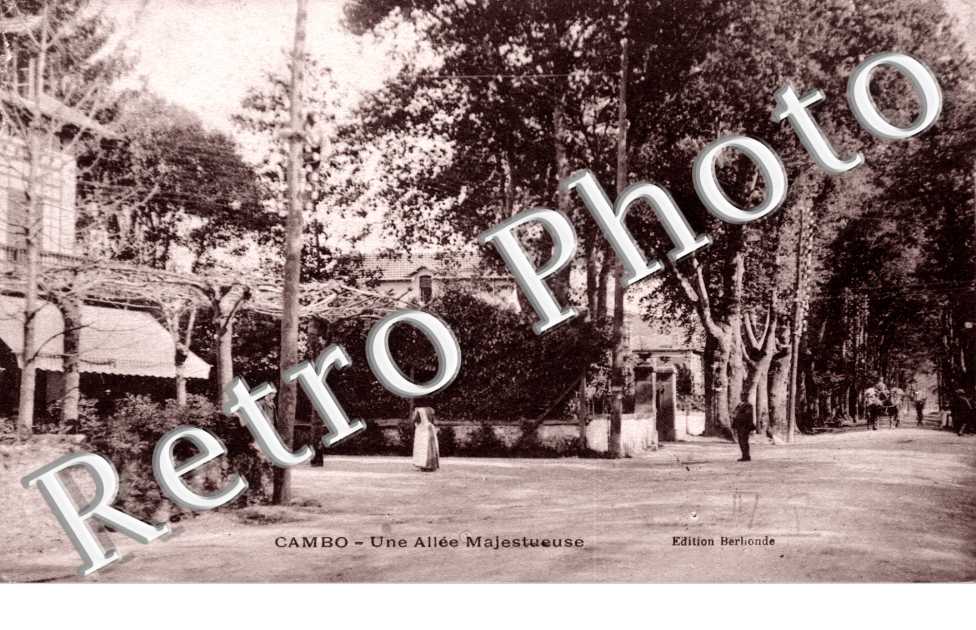 Allee Majestueuse