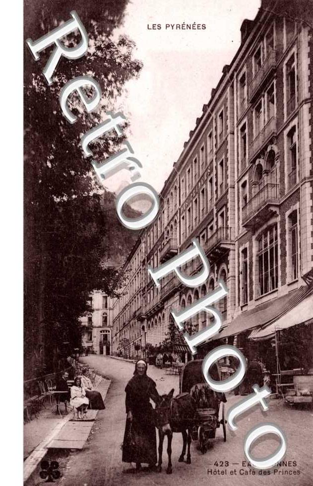Hotel et Cafe des Princes