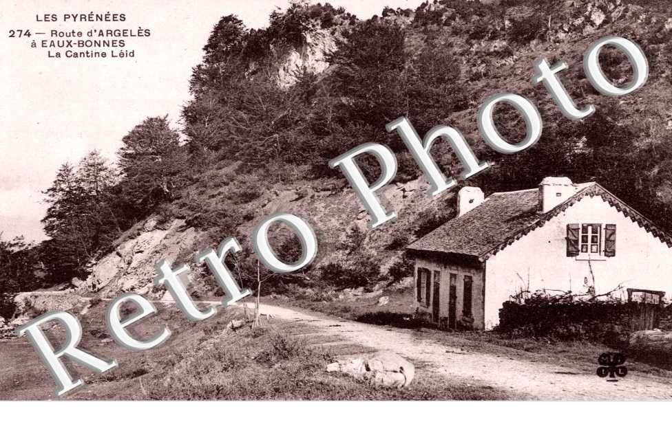 Route d'Argeles, la Cantine Leid