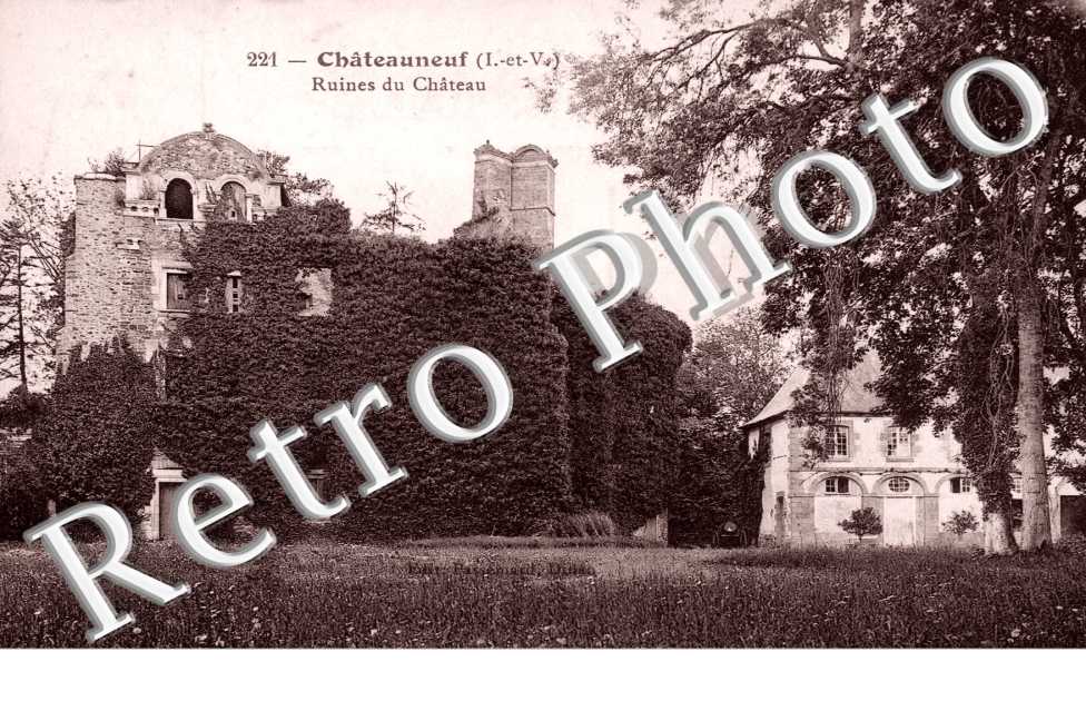 Ruines du chateau