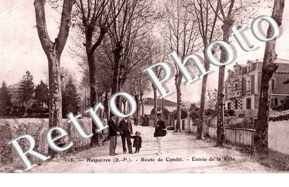 Route de Cambo - entree de la ville