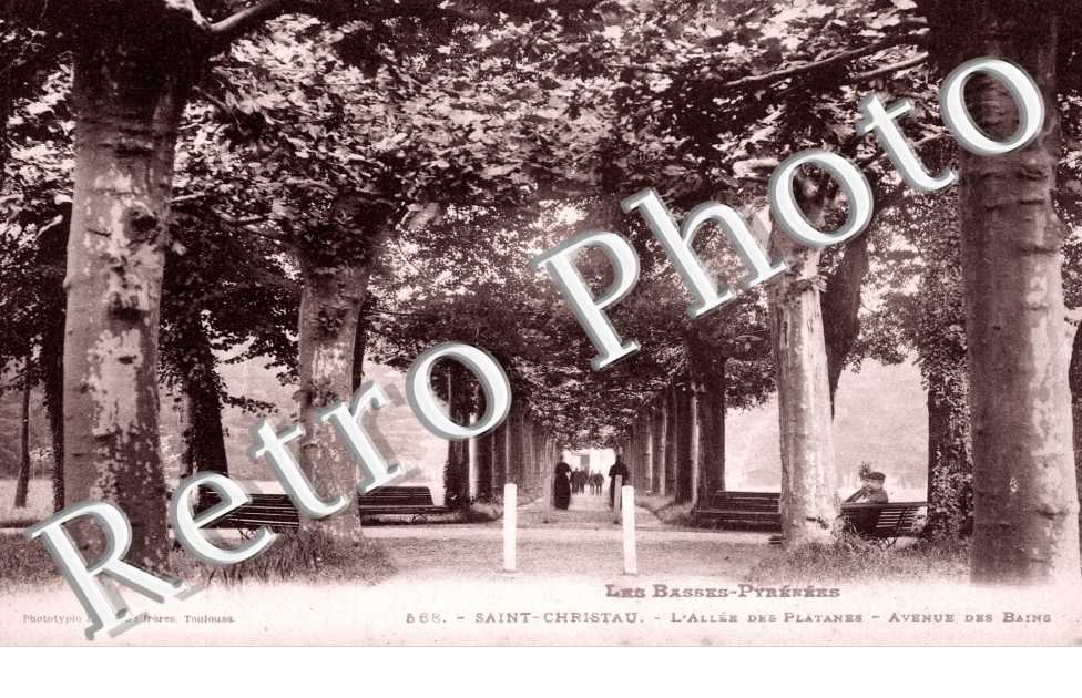 Allee des Platanes, Avenue des Bains