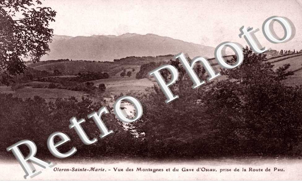 vue des montagnes