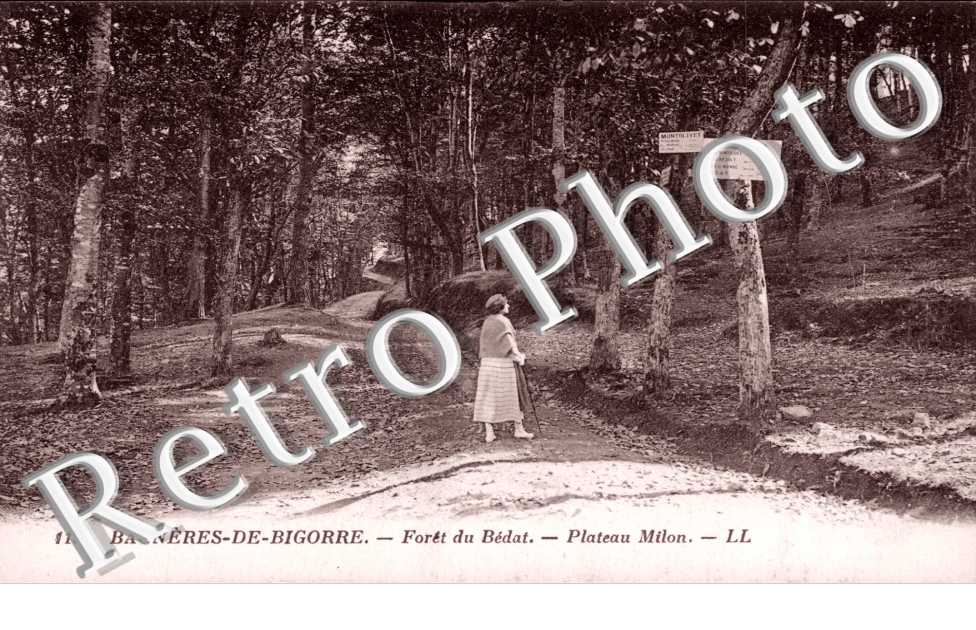 Bagneres-de-Bigorre, Foret du Bedat, Plateau Milon