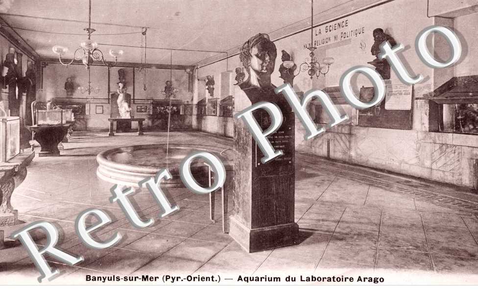 Aquarium du Laboratoire Arago