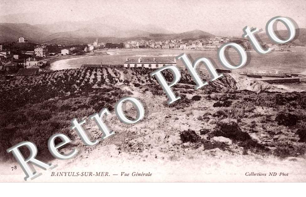 Vue Generale