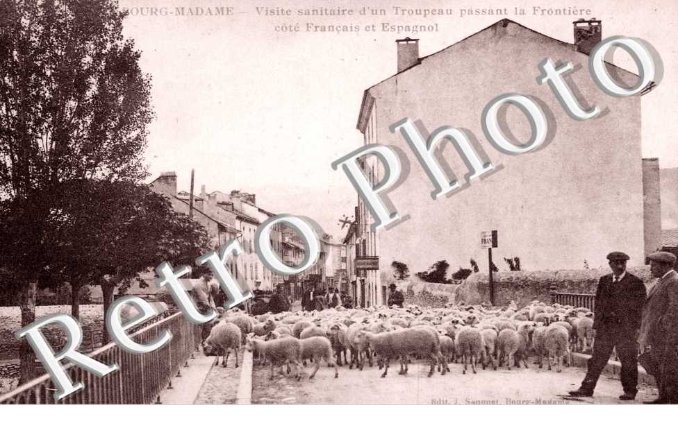Visite sanitaire d&#039;un troupeau passant la Frontiere cote francais et espagnol