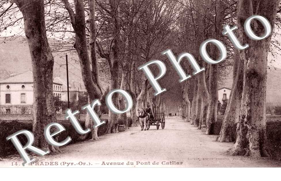 Avenue du pont de Catlar
