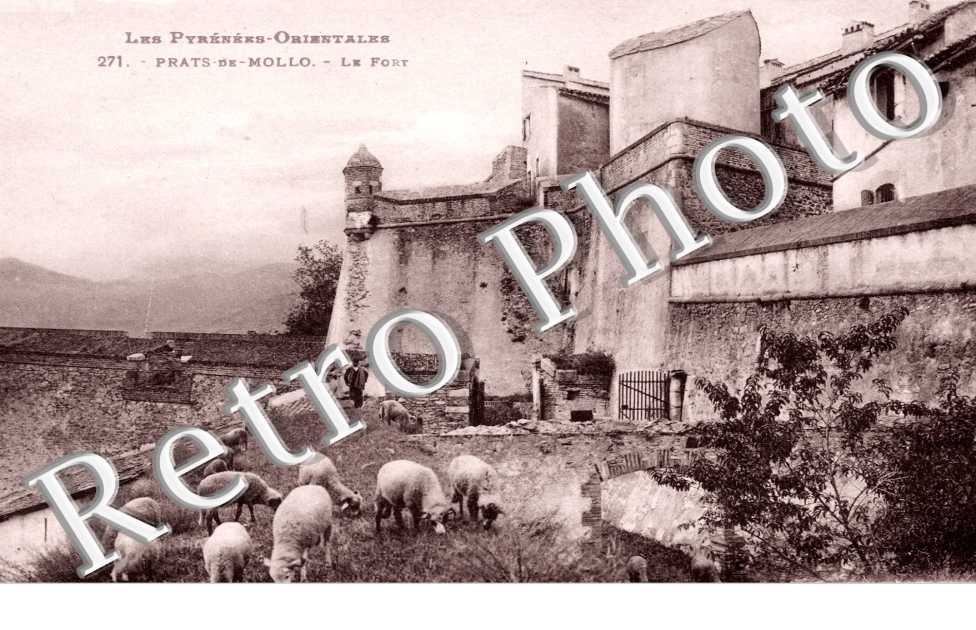 Le Fort