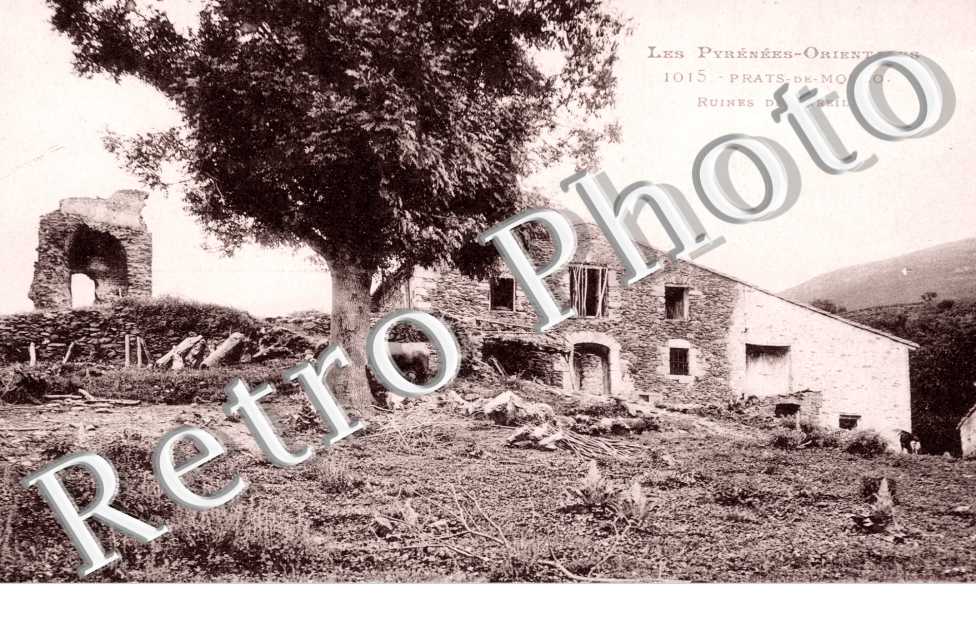 Ruines de Pareille