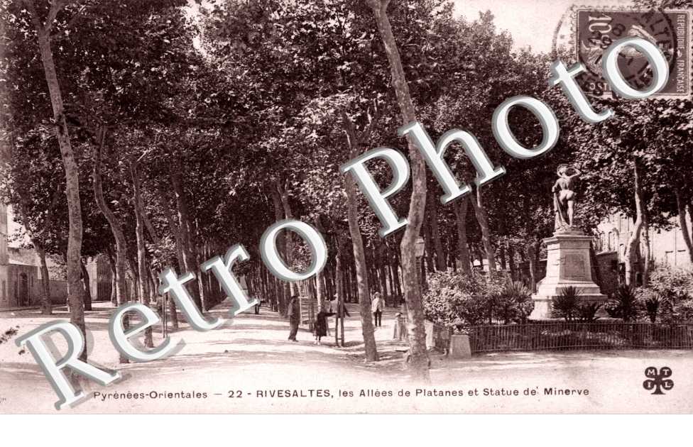 les allees de platanes et statue de Minerve