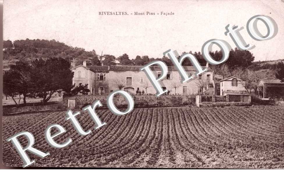 Mont Pins -  Facade