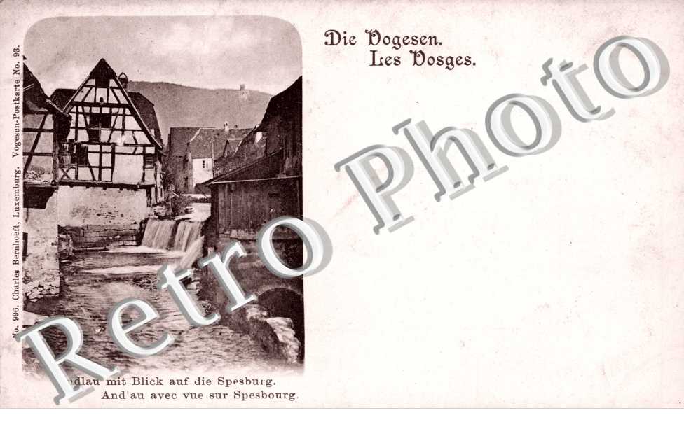 mit Blick auf die Spesburg. avec vue sur spesbourg. les vosges. die vogesen