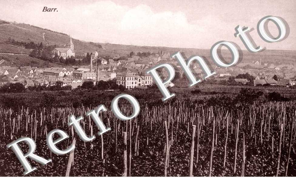Vue Exterieure