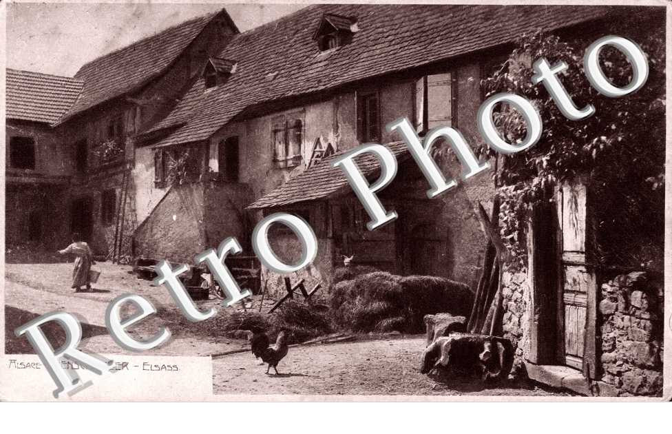 Elsass