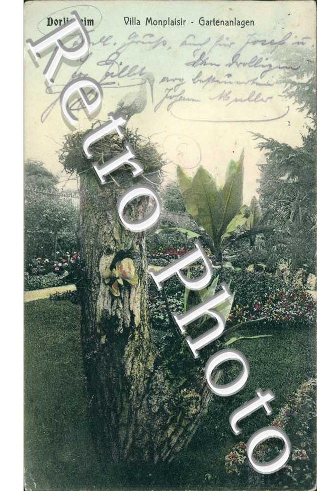 villa Mon Plaisir