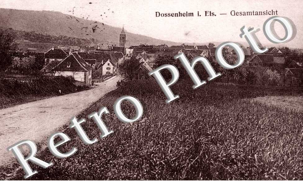 gesamtansicht