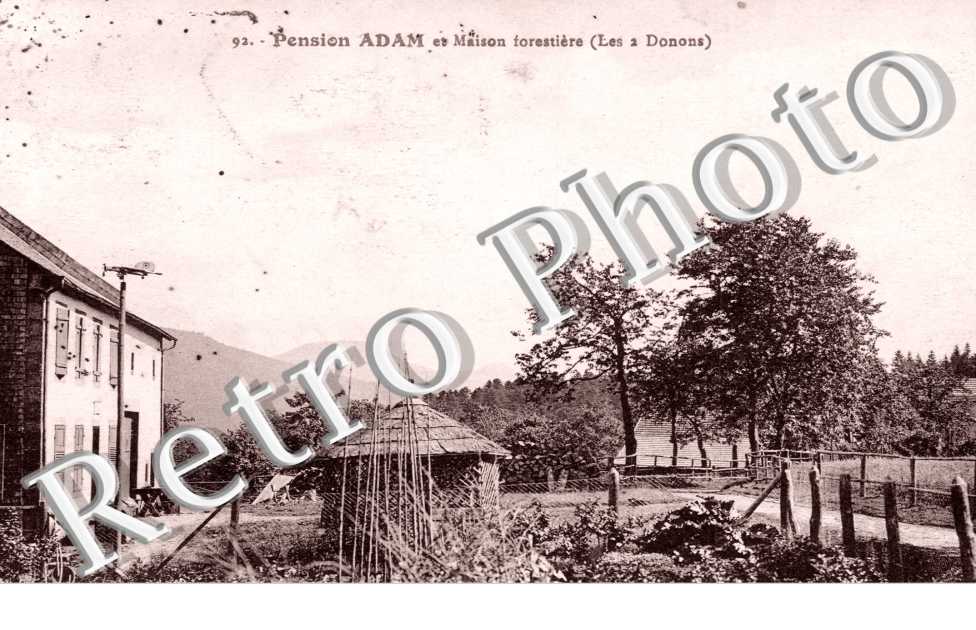 pension Adam et maison forestiere