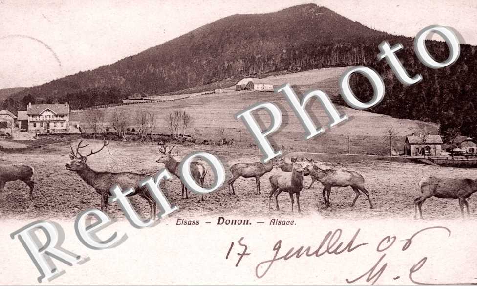 Panorama, Donon