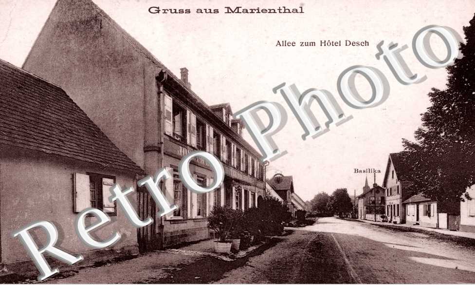 Allee zum Hotel Desch