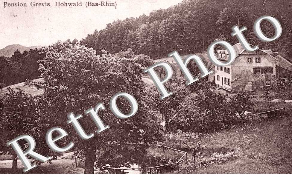 Pension Grevis