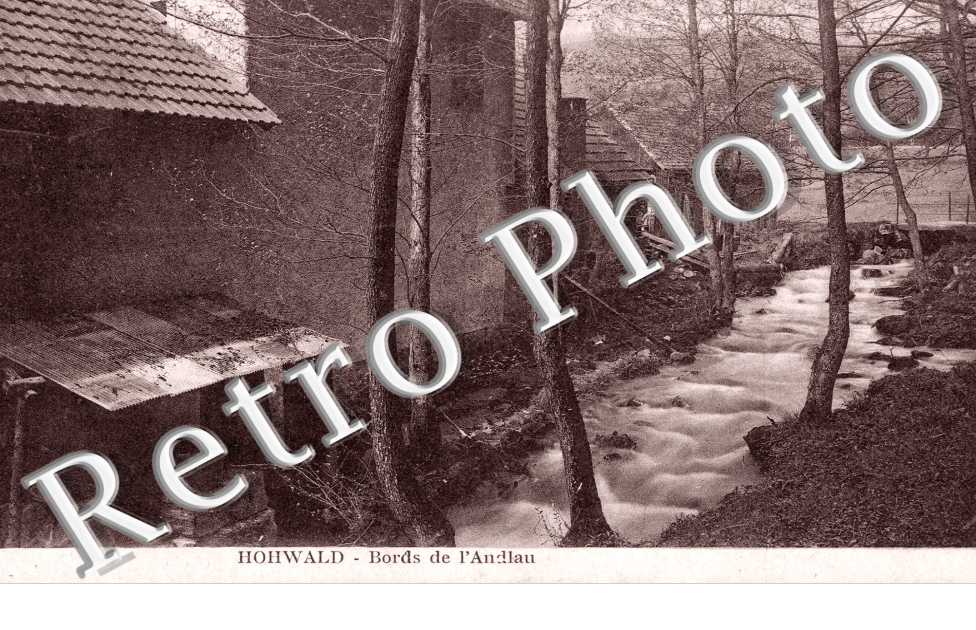 Bords de l'Andlau