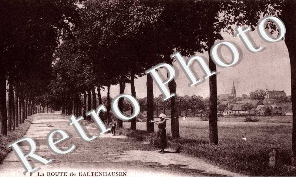 la Route de Kaltenhausen