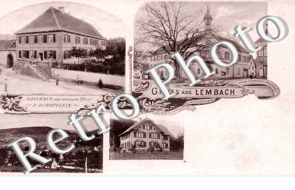 Totalansicht, Gasthaus zum weissen Pferd J. Schiellein