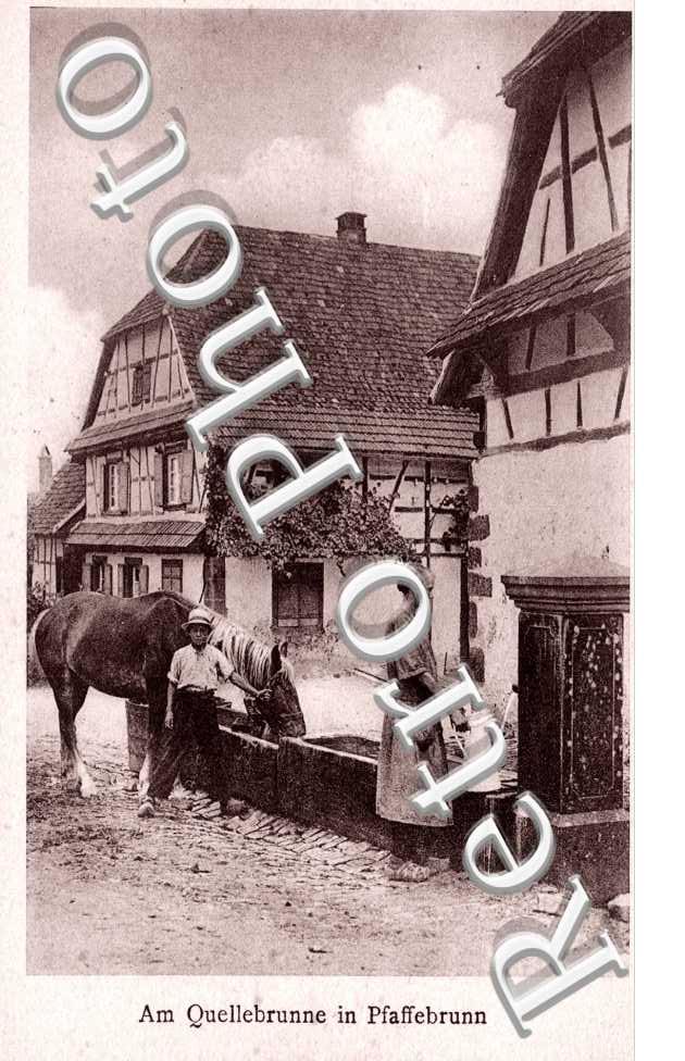 Am quellebrunne in pfaffbrunn