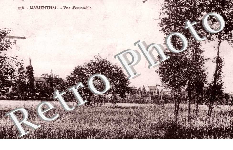 vue d&#039;ensemble