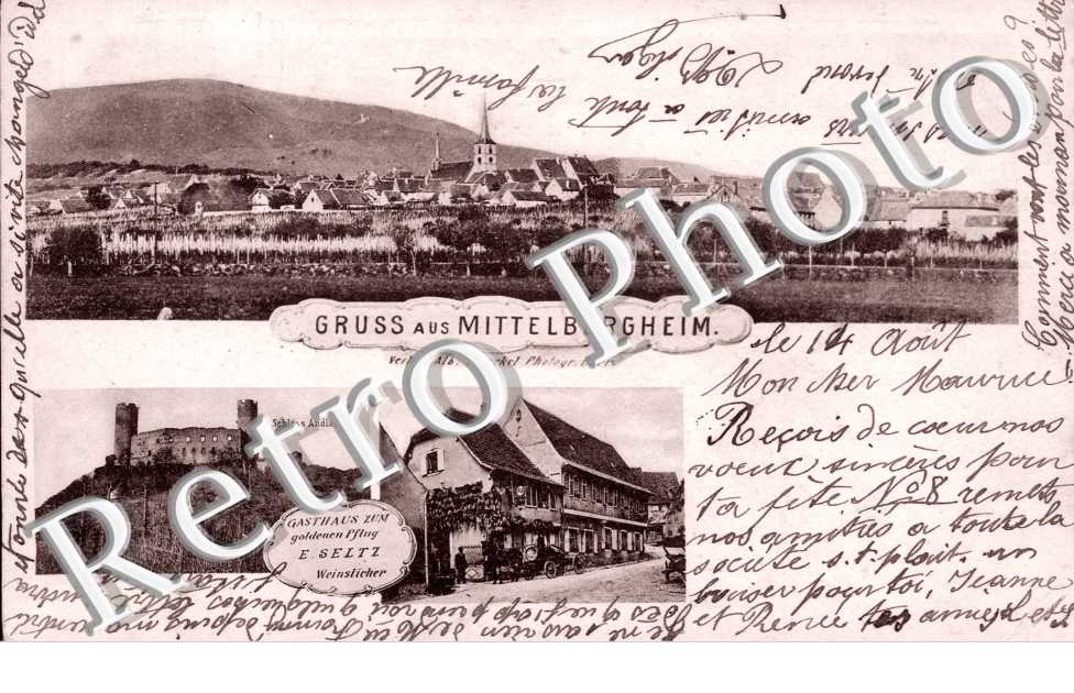 Scloss Andlau  Gasthaus zum goldenen Pflug  E. Seltz  Weinslicher