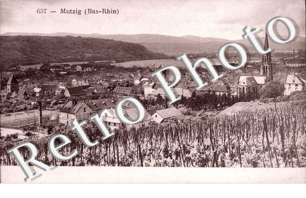 Panorama