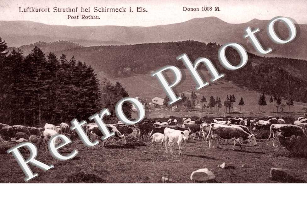 Luftkurort Struthof bei Schmirmeck i. Els, Donon 1008 metres