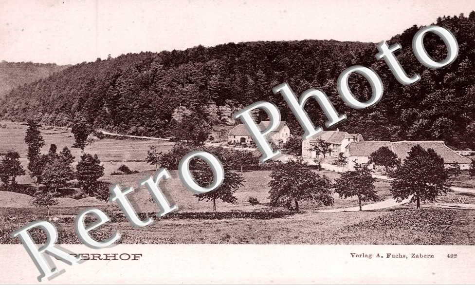 Panorama
