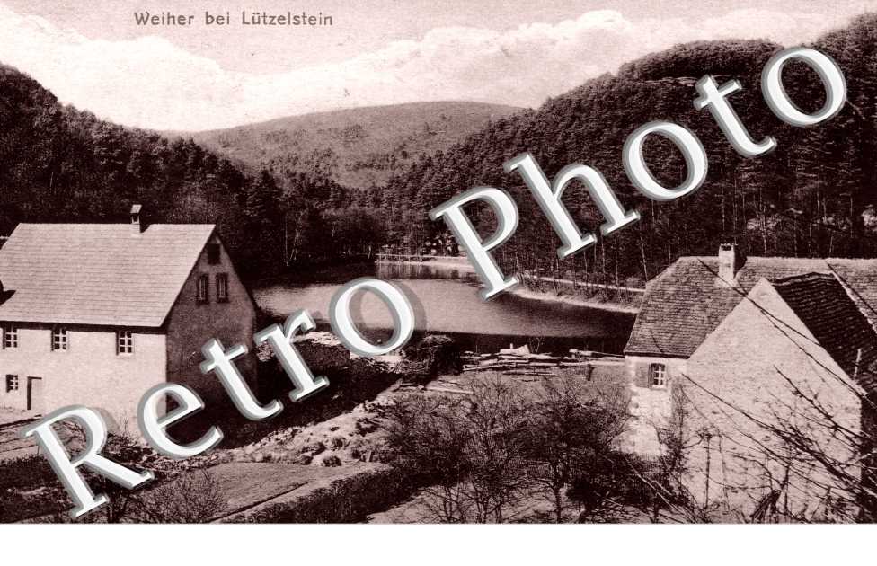 Weiher bei Lutzelstein