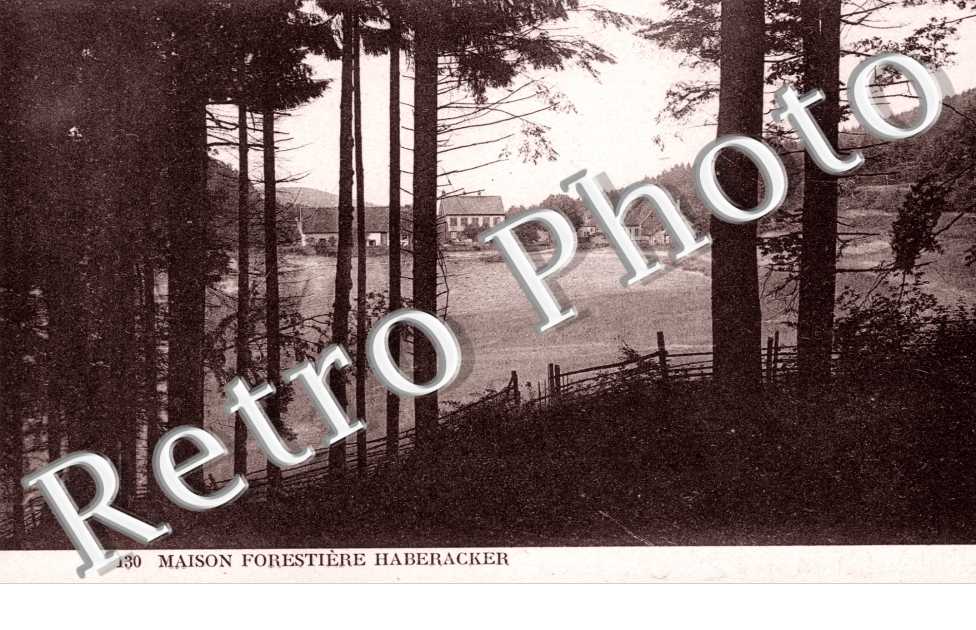 Maison Forestiere Haberacker