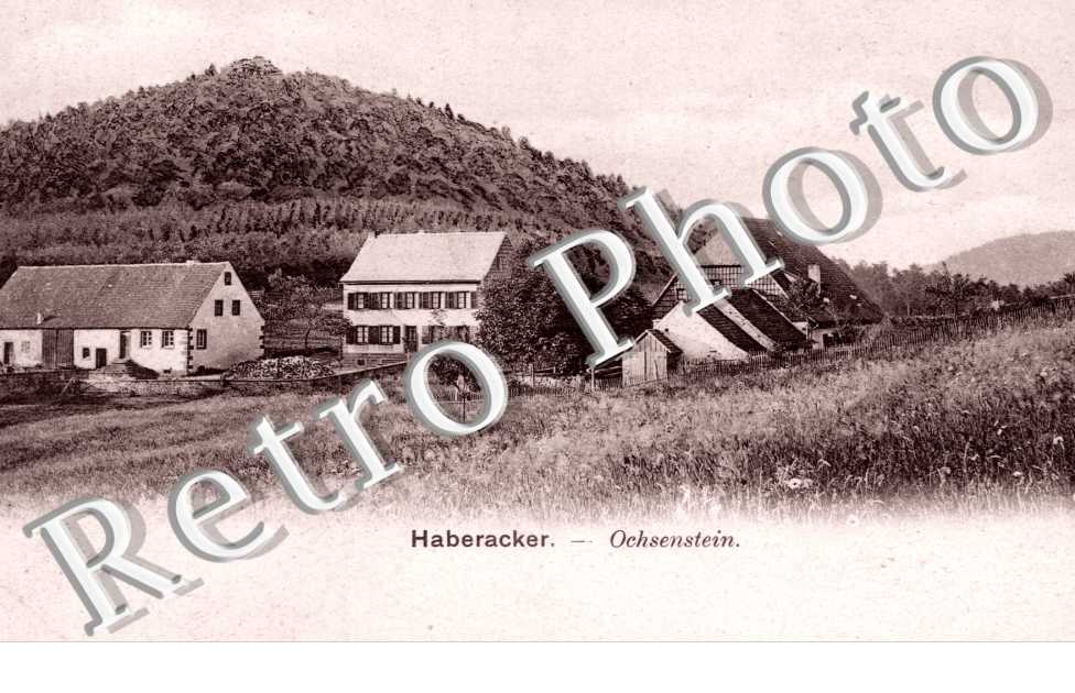 Ochsenstein, Haberacker