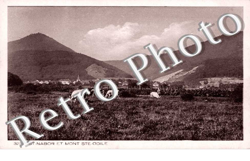 Saint Nabor et le Mont Saint-Odile
