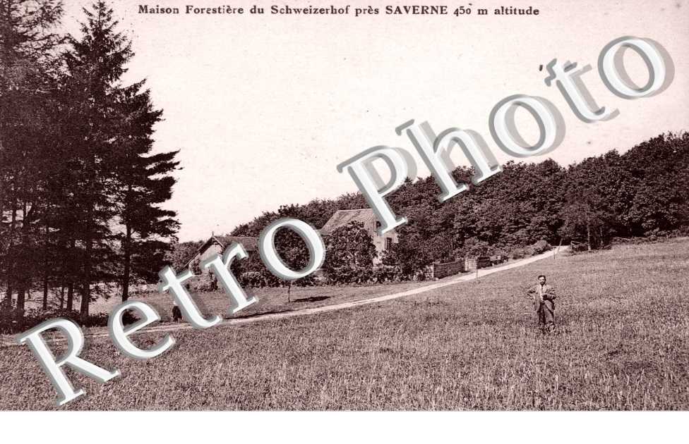 Maison Forestiere du Schweizerhof pres de Saverne