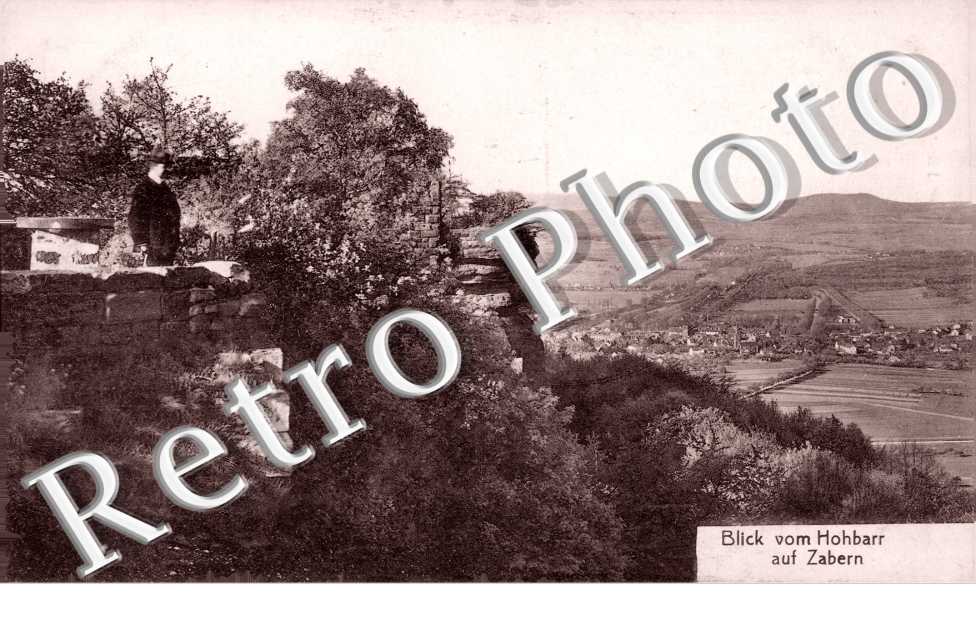 Blick vom hohbarr auf Zabern