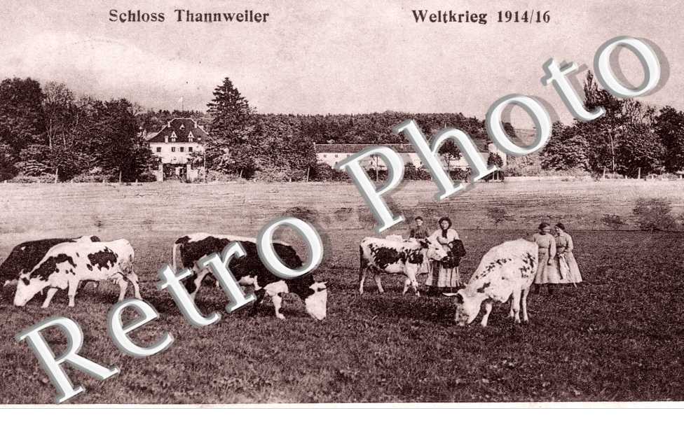 Schloss Thannweiler, Weltkrieg 1914