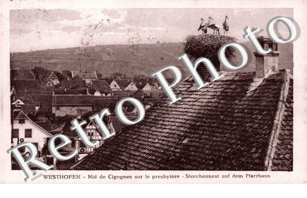 nid de cigognes sur le presbytere
