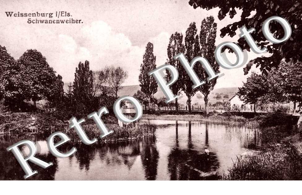 Weissenburg ins Elsass, Schwanenweiher