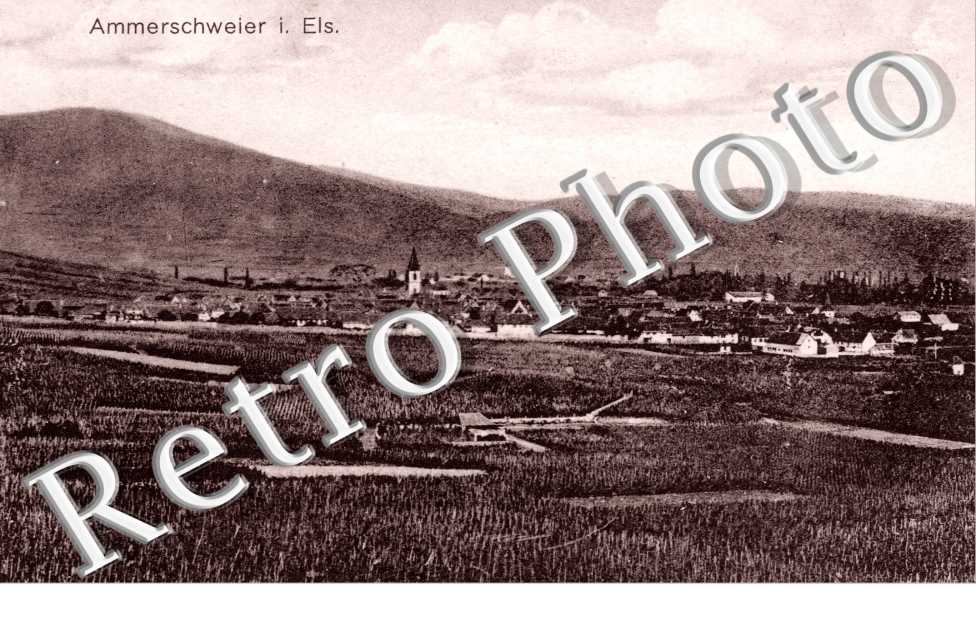 ( vue generale )