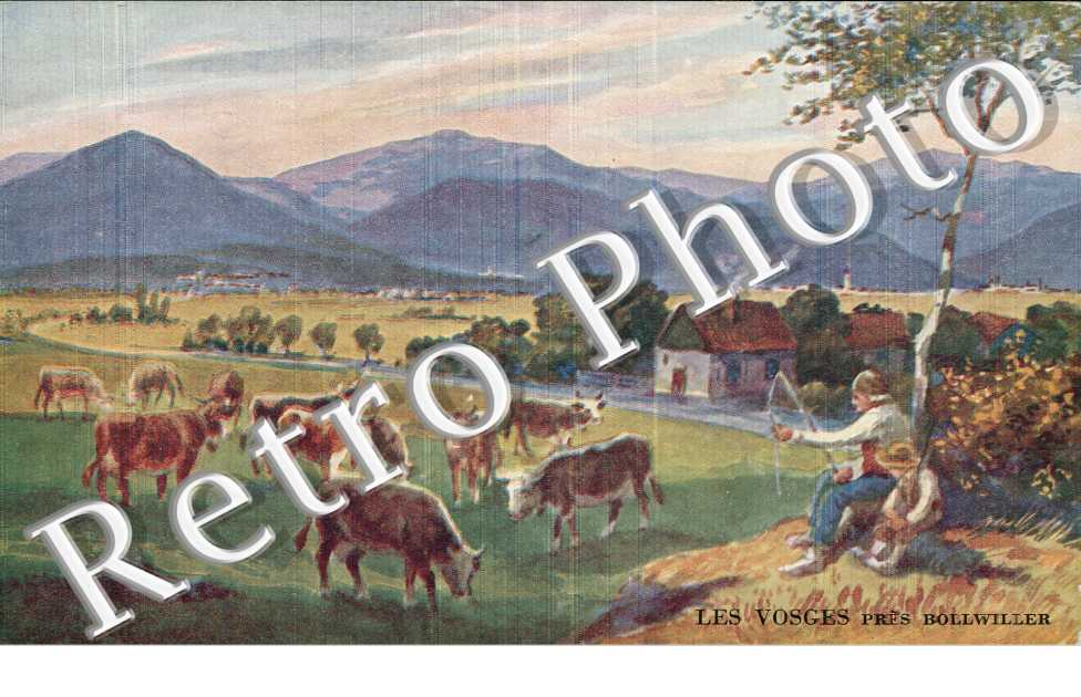 les Vosges