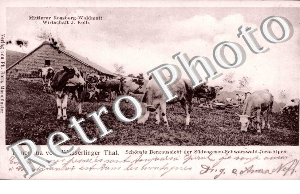 ferme rossberg waldmatt