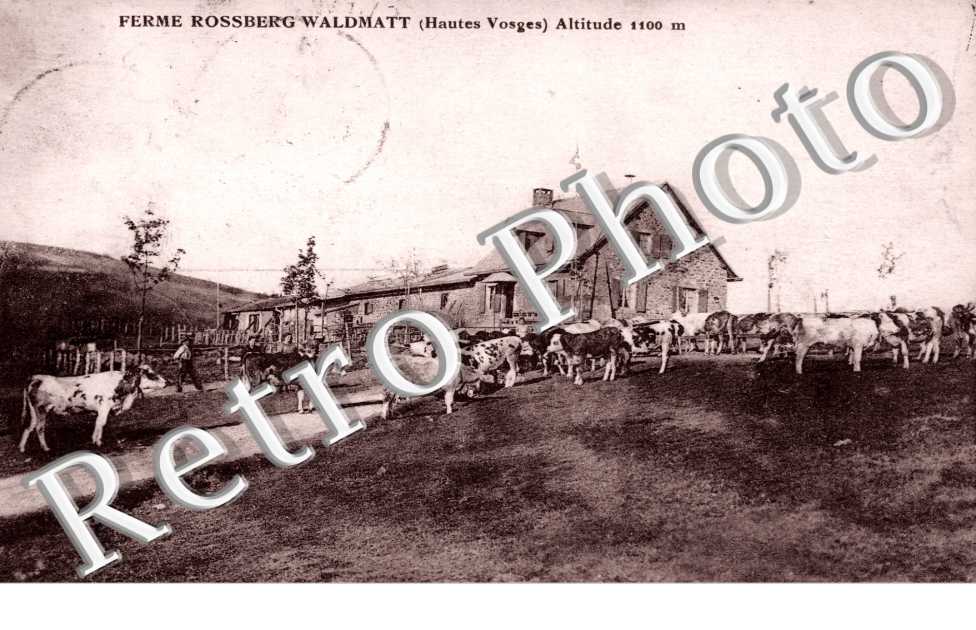 ferme rossberg waldmatt