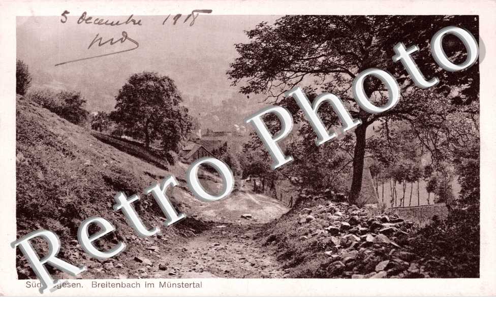 Breitenbach im Munstertal